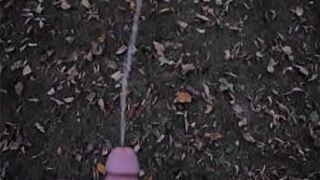 outdoor piss play - porn video