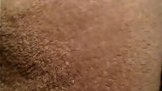 bitches - porn video