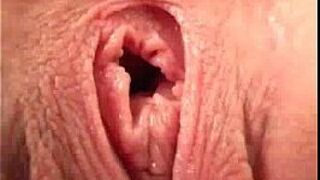 CloseUp of A Pussy - porn video