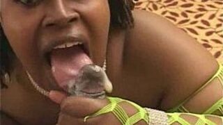 Profetional ebony Pornstar - porn video